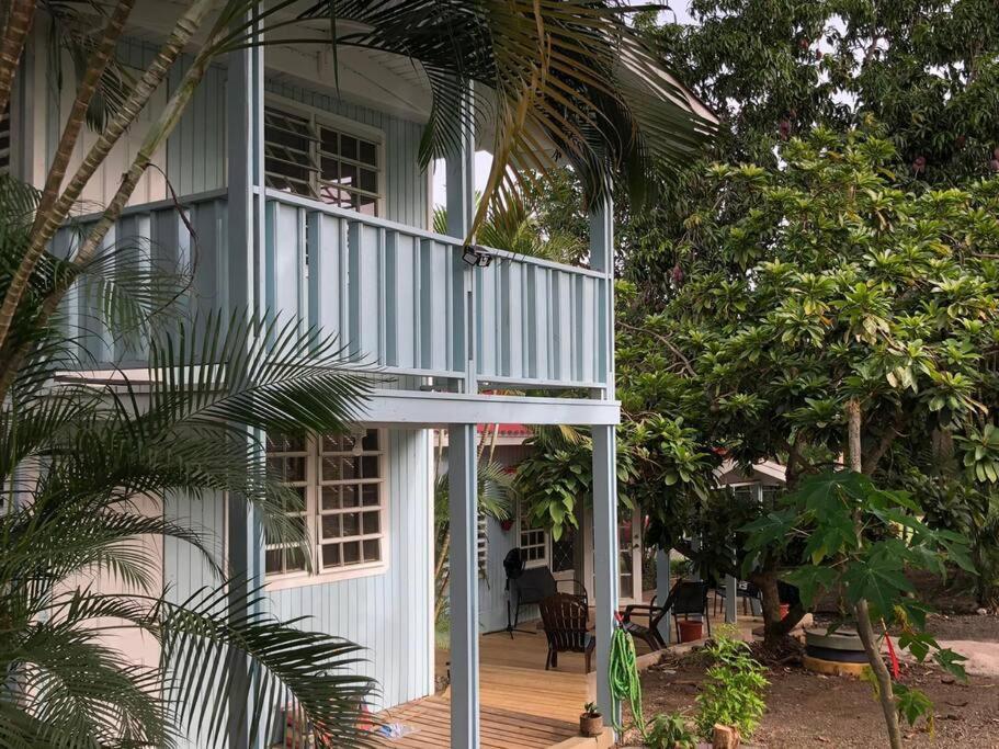 Herbert'S Place Cabo Rojo Εξωτερικό φωτογραφία