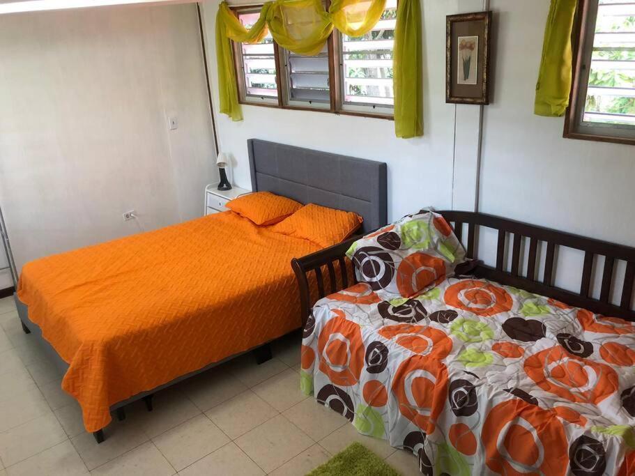Herbert'S Place Cabo Rojo Εξωτερικό φωτογραφία
