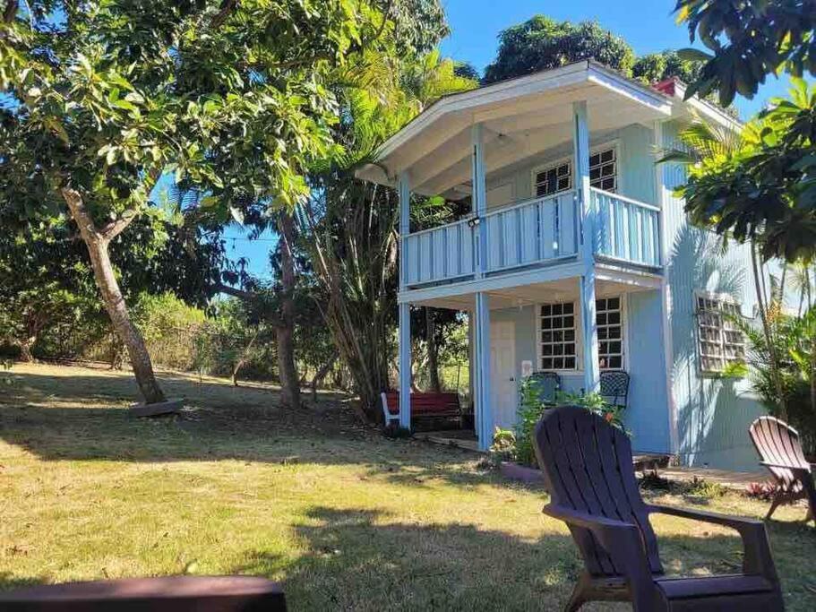 Herbert'S Place Cabo Rojo Εξωτερικό φωτογραφία